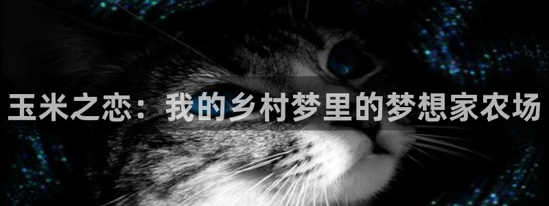 天顺娱乐2.0代理