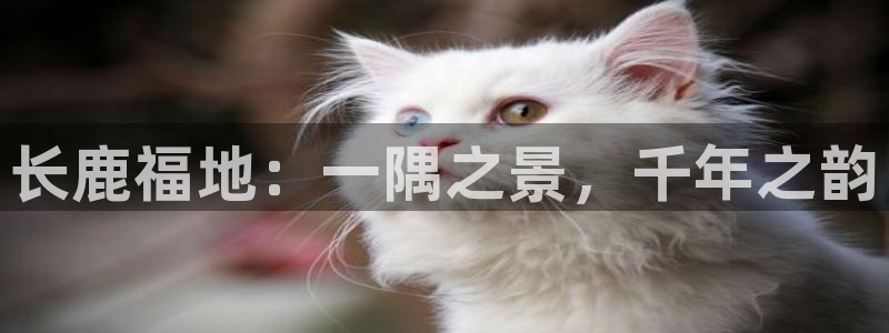 天顺娱乐彩票官方电话