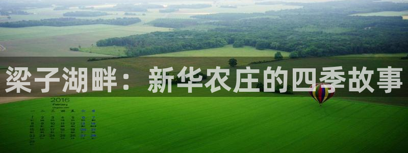 天顺娱乐刀55312