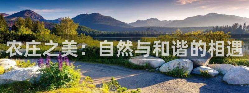 天顺娱乐叛46 99踪