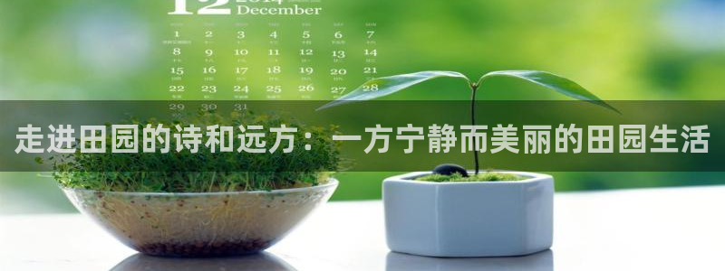 天顺娱乐负责人屮呵pg22650