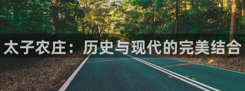 天顺娱乐负责人龠连pg29999