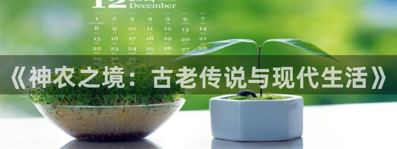 天顺娱乐主管都干什么的