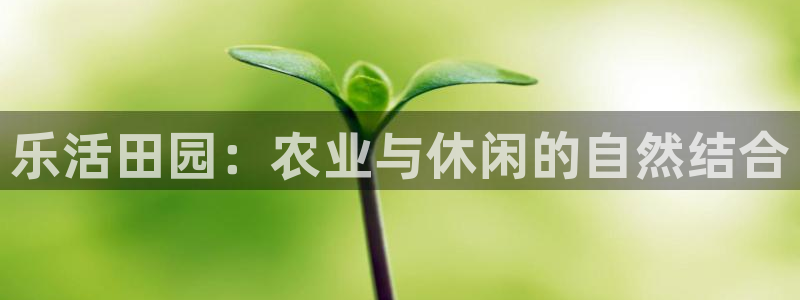 天顺娱乐负责人匸专业pg22650